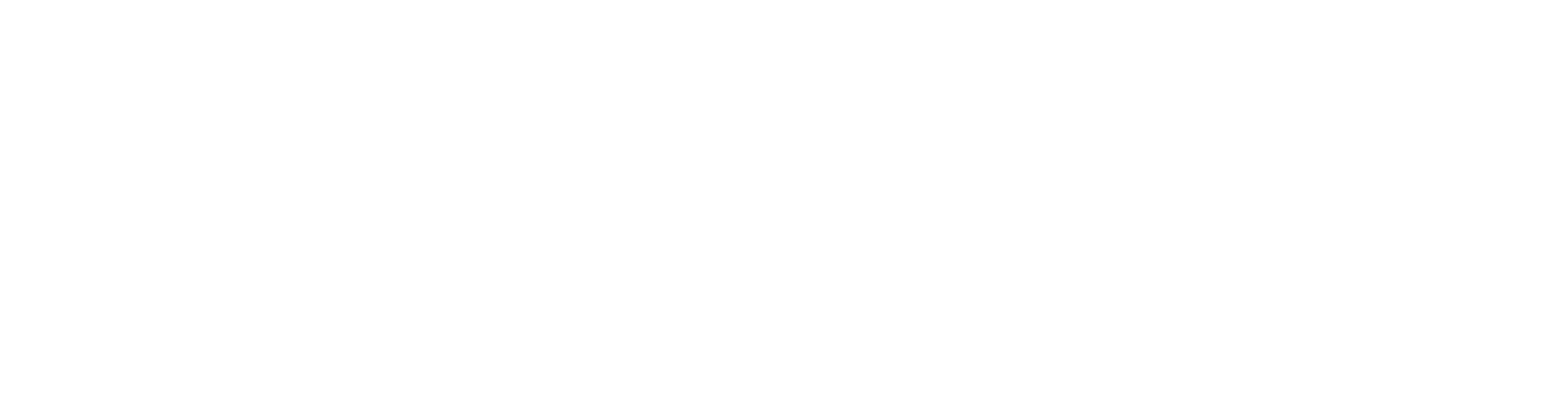 BSC-Logo-v2.0-White.png