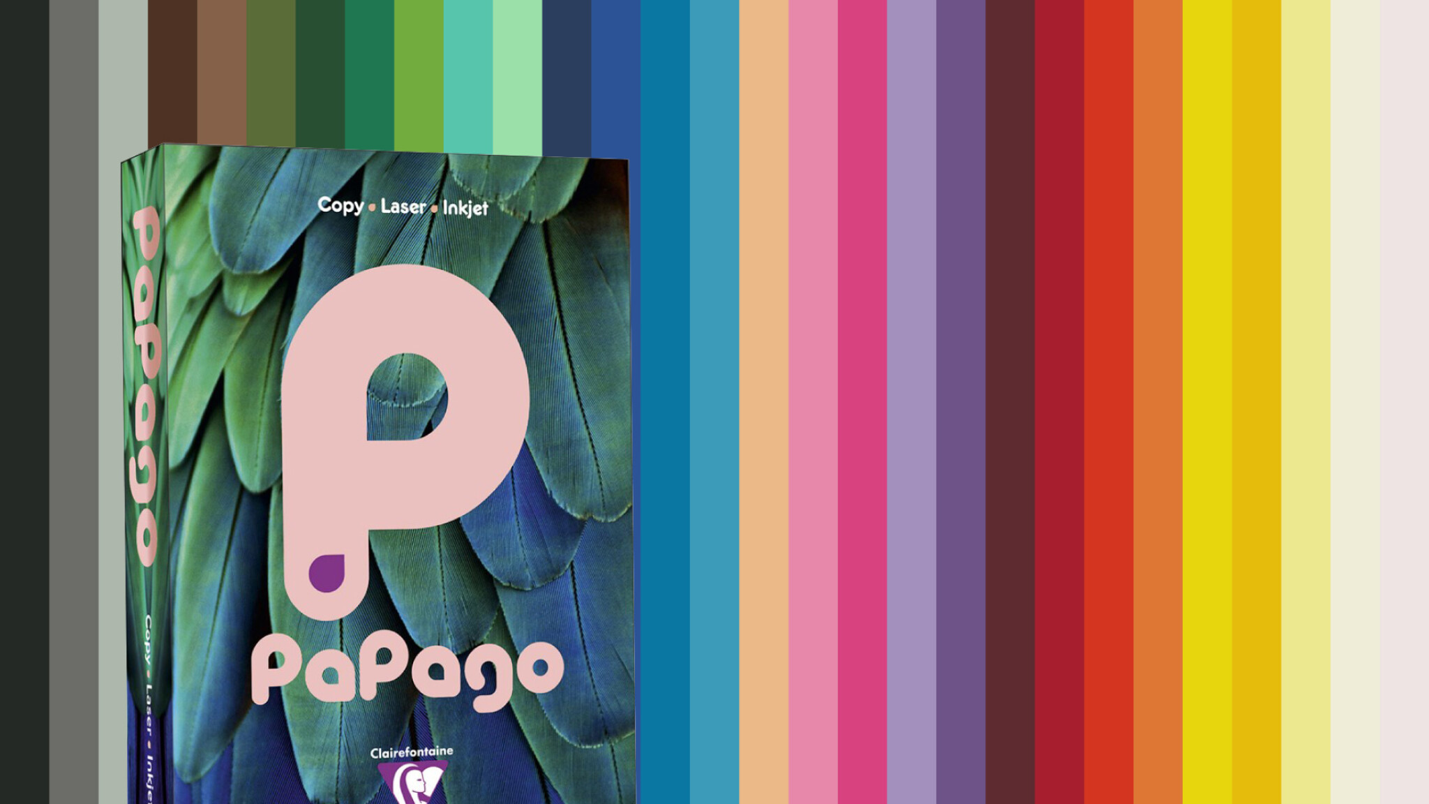 Coloured-Paper.jpg
